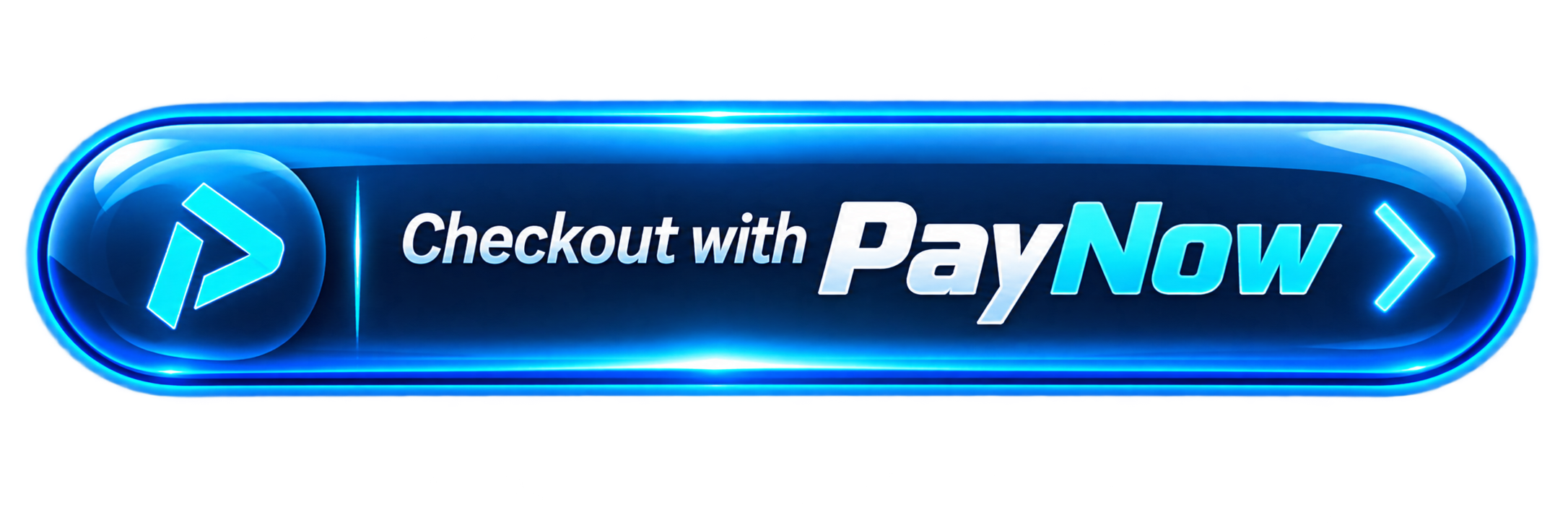 Checkout with PayNow